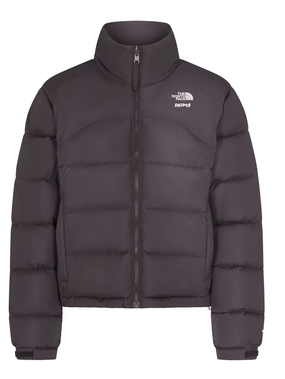 NWT’S THE NORTH FACE X SKIMS 2000 RETRO NUPTSE JACKET!